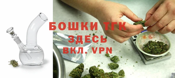 дурь Гусиноозёрск