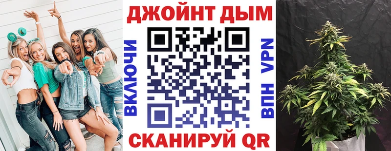 Конопля SATIVA & INDICA  Купить где  Зубцов 